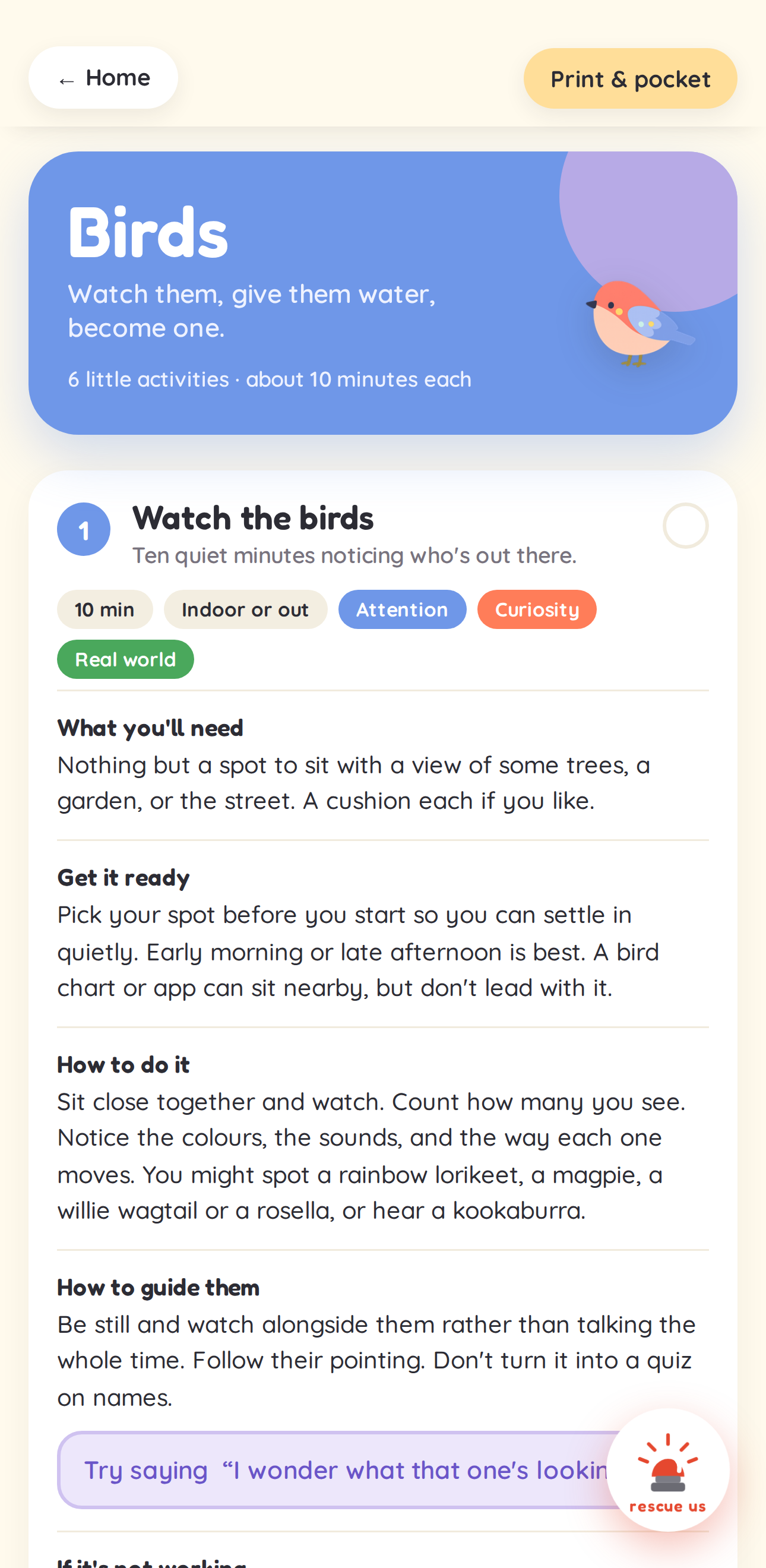 A ready-to-play activity in the app